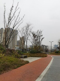 城市公园中的步道景观