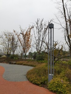 公园小径旁的树木与路灯