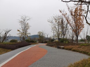 秋日公园彩色步道风景