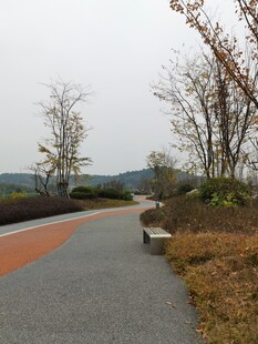 秋日公园静谧步道景观