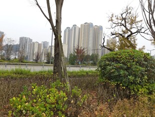 城郊自然与建筑景观