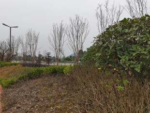 郊外空旷的自然景观