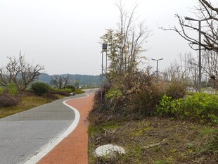 蜿蜒彩色步道自然景致