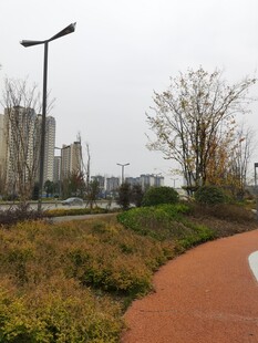 城市中的休闲步道景观