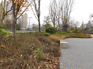 秋日公园小径风景