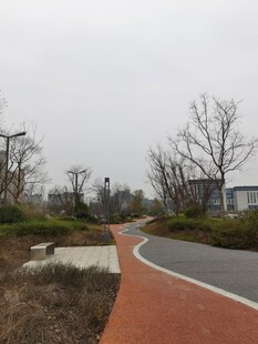 城市中的蜿蜒彩色步道