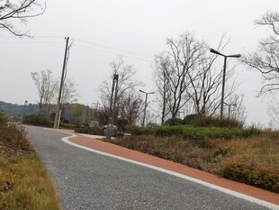 乡村蜿蜒小路与路旁设施