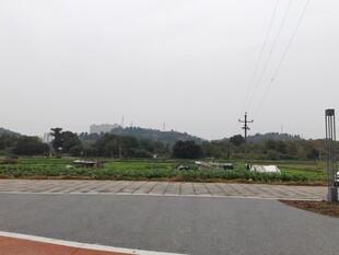 乡村道路旁的开阔田园风光