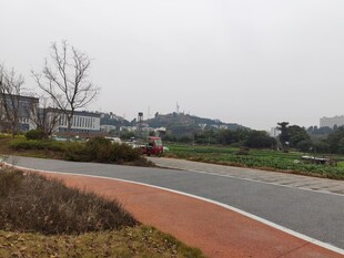 城市中蜿蜒的彩色骑行道