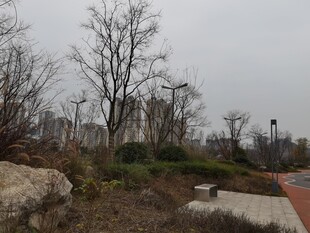 冬日城郊公园景观