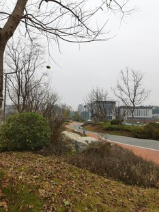 城郊冬日小路景观