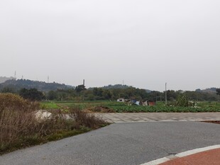 郊外空旷道路风景