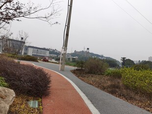 城市中的彩色骑行步道