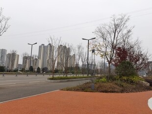 城市空旷道路旁的景致