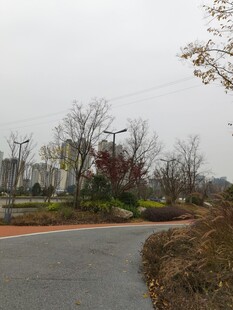 城郊蜿蜒道路旁的绿植景观