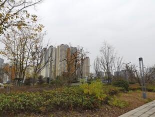 城郊住宅区的绿化景观