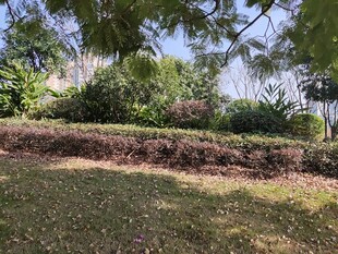 户外绿意盎然的庭院景观