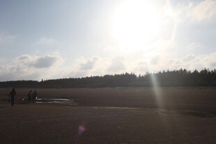 阳光照耀下的开阔户外场景