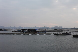 黄昏下的码头与停泊船只