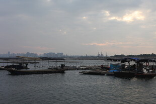 海港暮色中的停泊船只