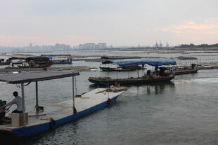 黄昏下的宁静码头与船只