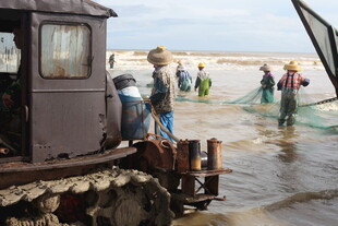 渔民浅海撒网捕鱼场景
