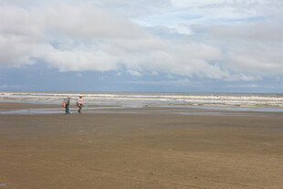 海边漫步的两人