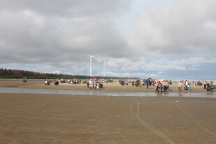 海滩上人潮涌动的景象