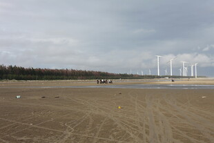 空旷沙地旁的风力发电机组