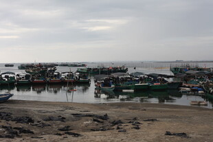 海边停泊的多彩渔船