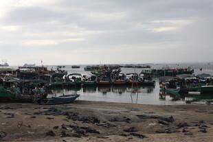 海边渔村停泊的众多船只