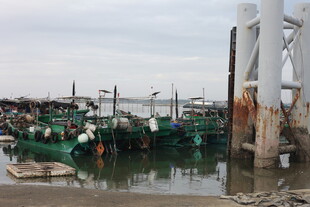 港口停泊的众多绿色渔船