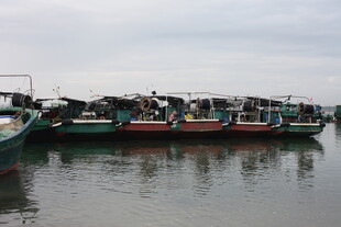 停靠在水边的多彩渔船