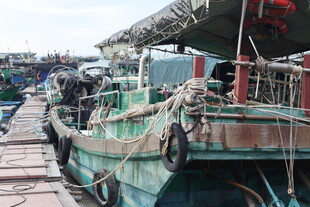 港口停靠的老旧渔船