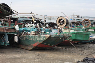 停靠岸边的多彩渔船