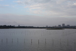 黄昏下的宁静水域景观