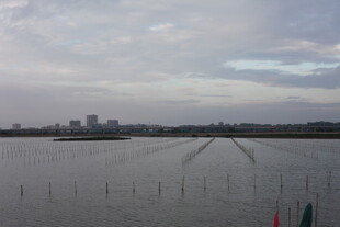 城市边缘的水域景观