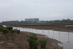 河畔风景 远处建筑朦胧