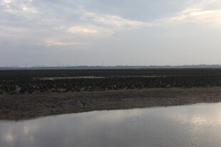 黄昏下的宁静水边景色