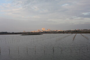 黄昏下的广袤水田风光