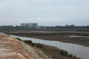 田野旁的水域与远处建筑