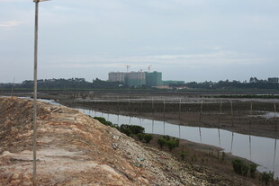郊外田野与远处建筑景观