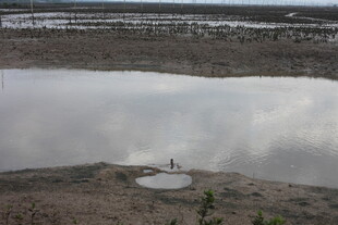 荒漠中的静谧水域