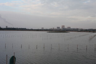 湖畔远景水面与城市天际线