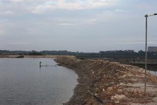 湛江生蚝养殖区
