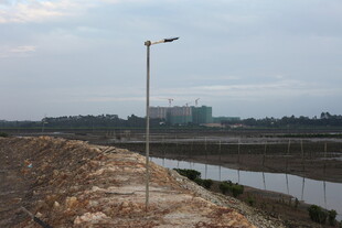 田野旁的路灯与水域景观