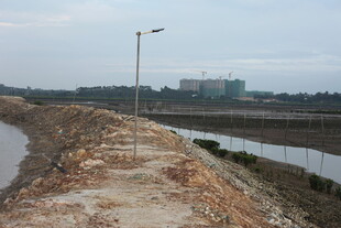 河边土路与远处建筑景观