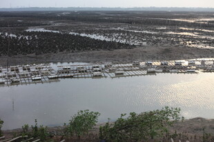 俯瞰宁静的港湾与停泊船只