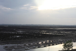 日落时分的广袤田野景观