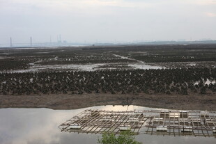 俯瞰水边码头与周边景观